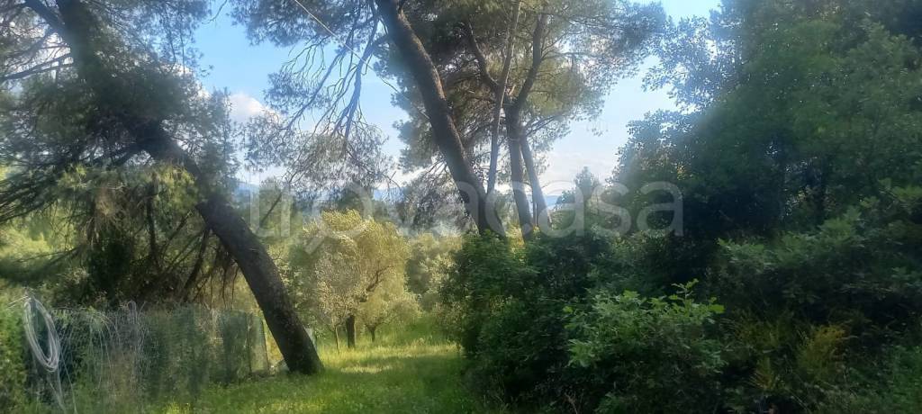 terreno agricolo in vendita a Terni