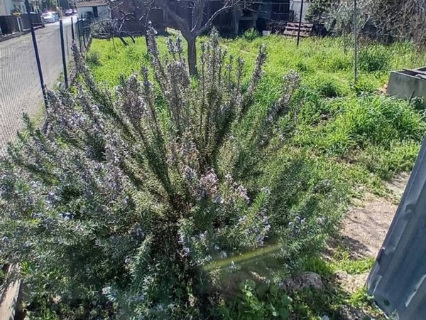appartamento in vendita a Terni