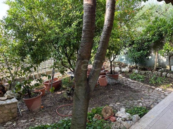 appartamento in vendita a Terni in zona Collescipoli