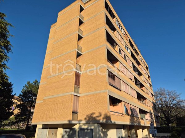 appartamento in vendita a Terni
