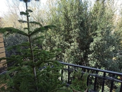 appartamento in vendita a Terni in zona Centro Città