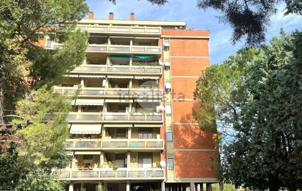 appartamento in vendita a Terni