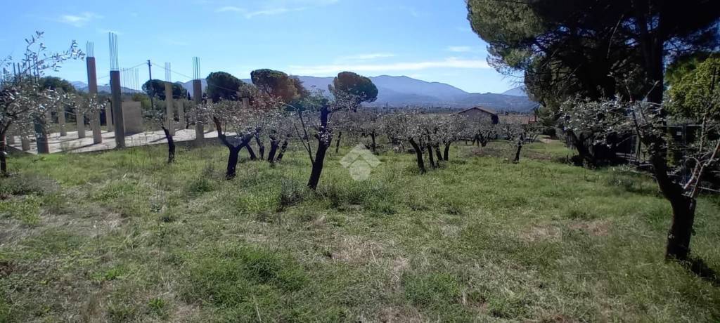 terreno agricolo in vendita a Terni in zona Rivo