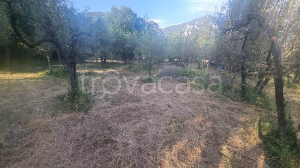terreno agricolo in vendita a Terni in zona Gabelletta