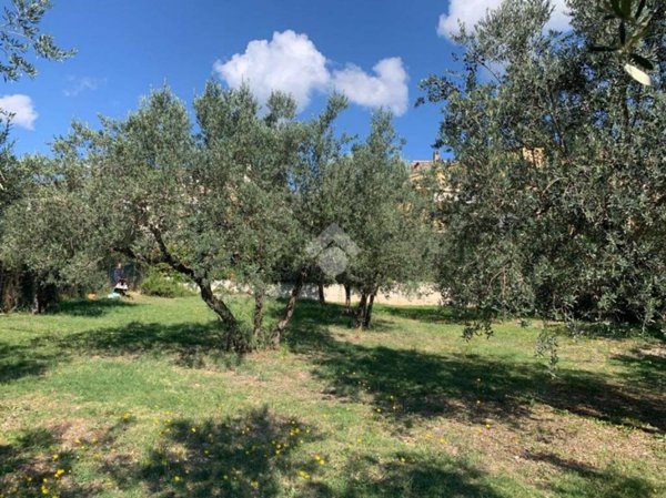 terreno agricolo in vendita a Terni in zona Rivo