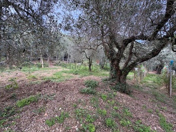 terreno edificabile in vendita a Terni in zona Cesi