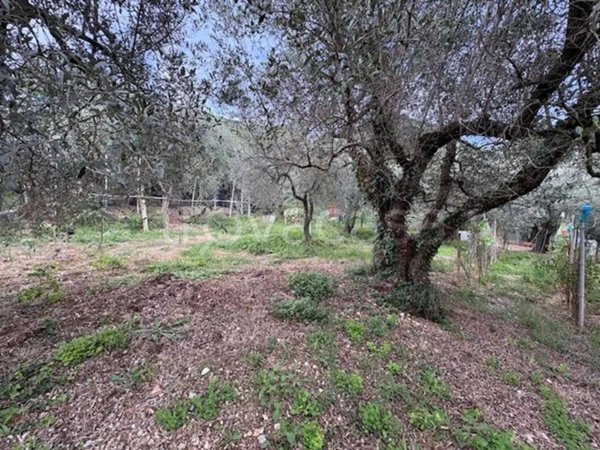 terreno agricolo in vendita a Terni in zona Gabelletta