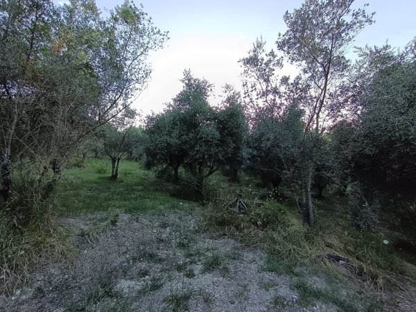 terreno edificabile in vendita a Terni