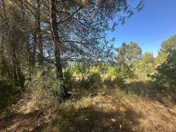 terreno agricolo in vendita a Terni