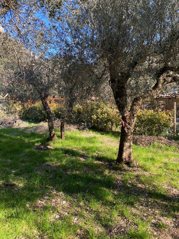 casa indipendente in vendita a Terni in zona Centro Città