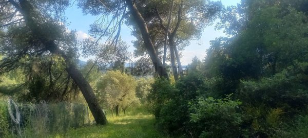 terreno agricolo in vendita a Terni in zona Colle Licino