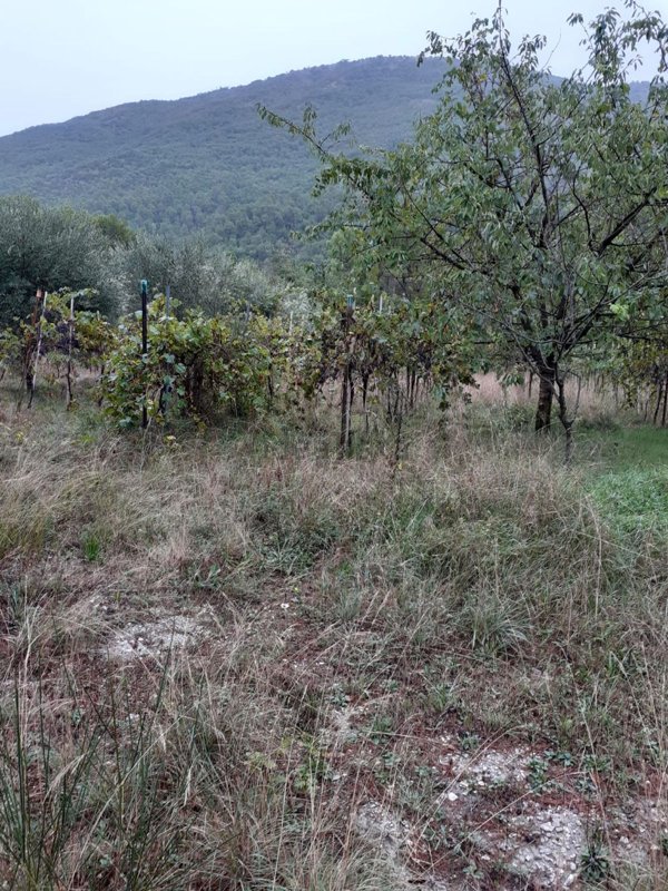 terreno agricolo in vendita a Terni in zona Giuncano Scalo