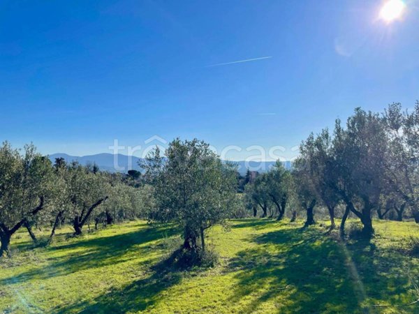 casa indipendente in vendita a Terni in zona Gabelletta
