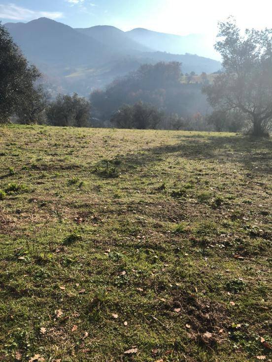 terreno agricolo in vendita a Terni in zona Collescipoli
