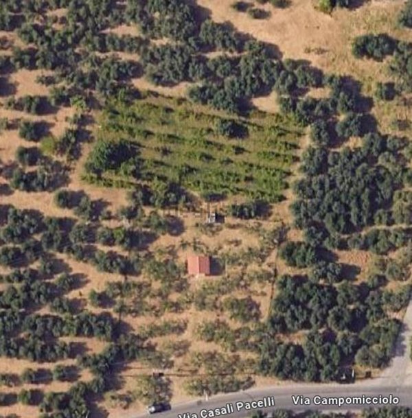 terreno agricolo in vendita a Terni