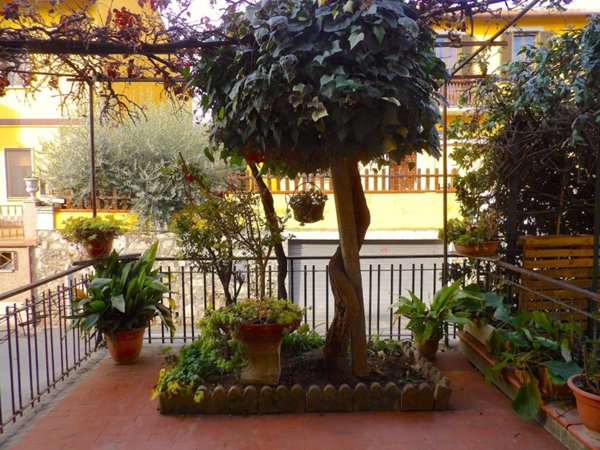 immagine annuncio 0 di 5