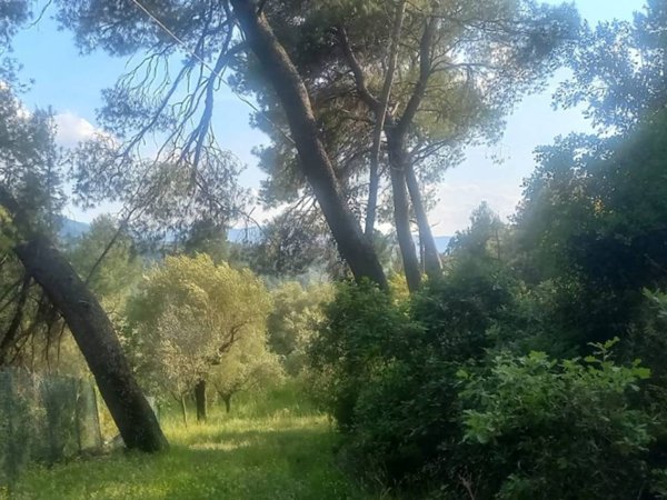 terreno agricolo in vendita a Terni in zona Papigno