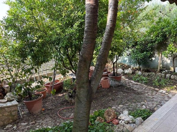 appartamento in vendita a Terni