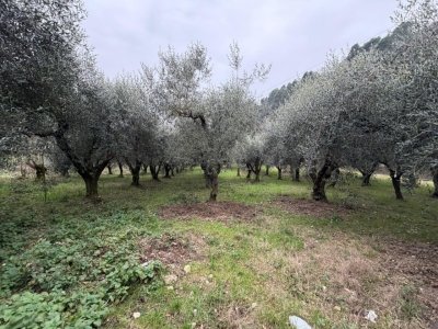 locale di sgombero in vendita a Terni in zona San Carlo