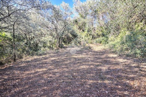 terreno agricolo in vendita a Terni in zona Vocabolo Valenza