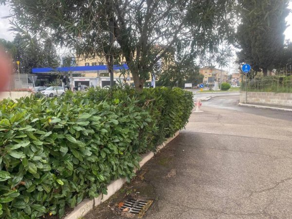 appartamento in vendita a Terni