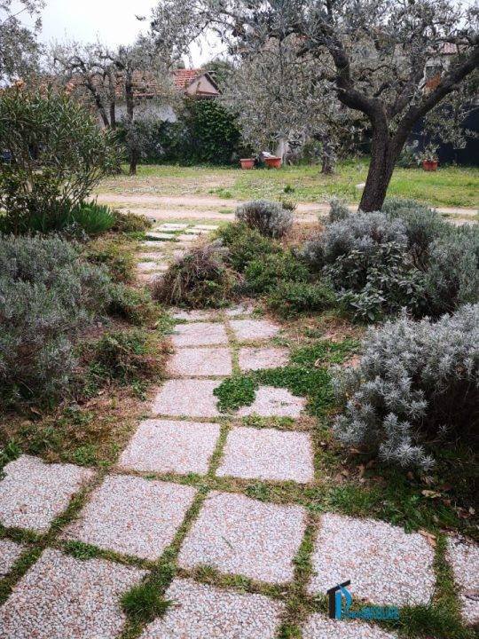 appartamento in vendita a Terni