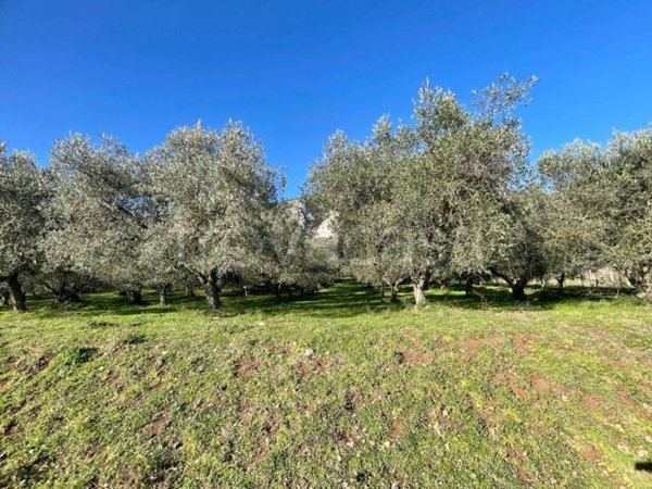 casa indipendente in vendita a Terni in zona Campomaggiore Secondo