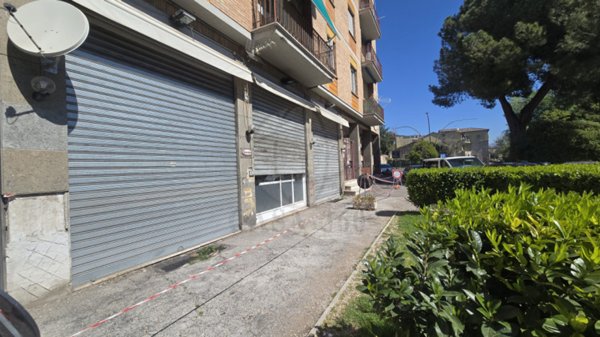 negozio in vendita a Terni