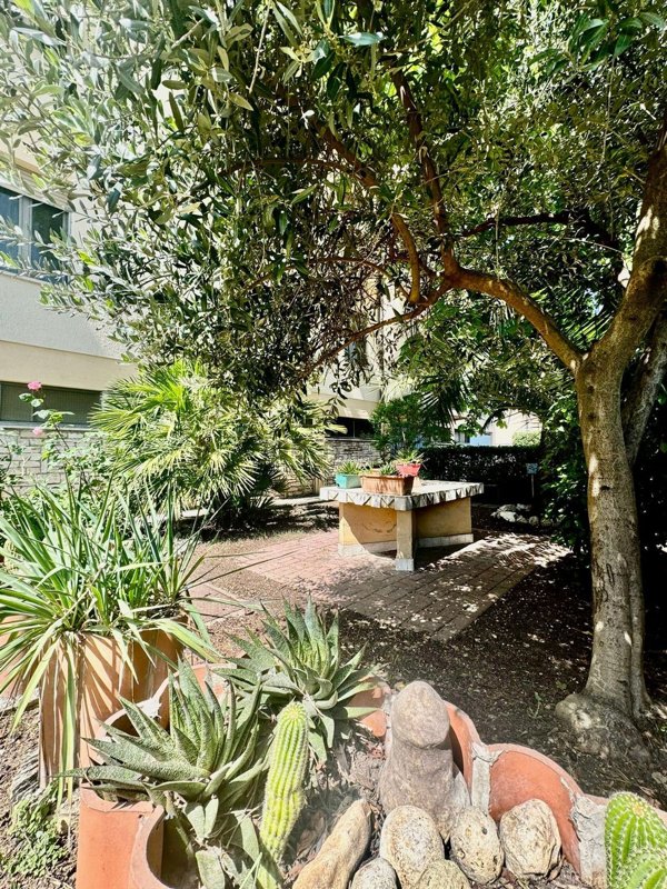 appartamento in vendita a Terni