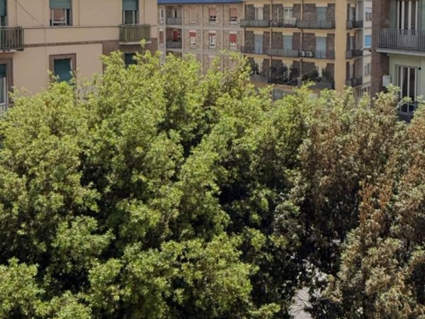 appartamento in vendita a Terni in zona Centro Città