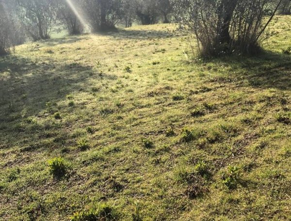 casa indipendente in vendita a Terni
