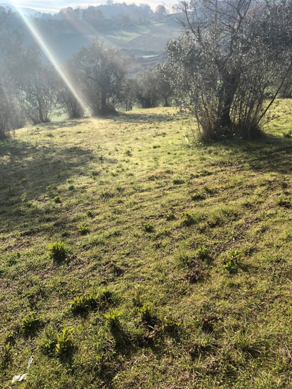 casa indipendente in vendita a Terni