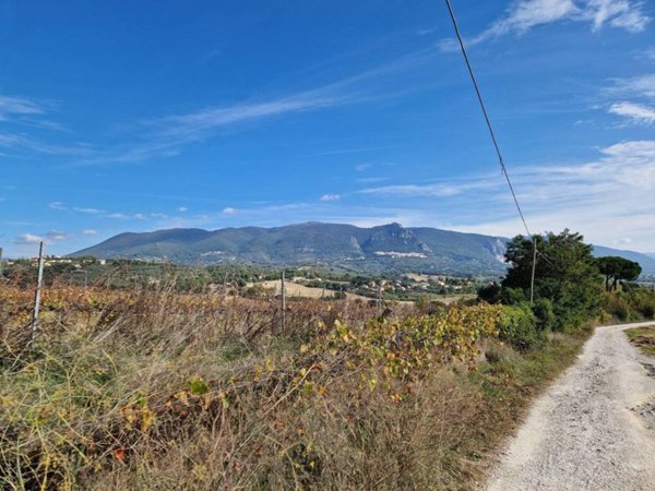 terreno agricolo in vendita a Terni