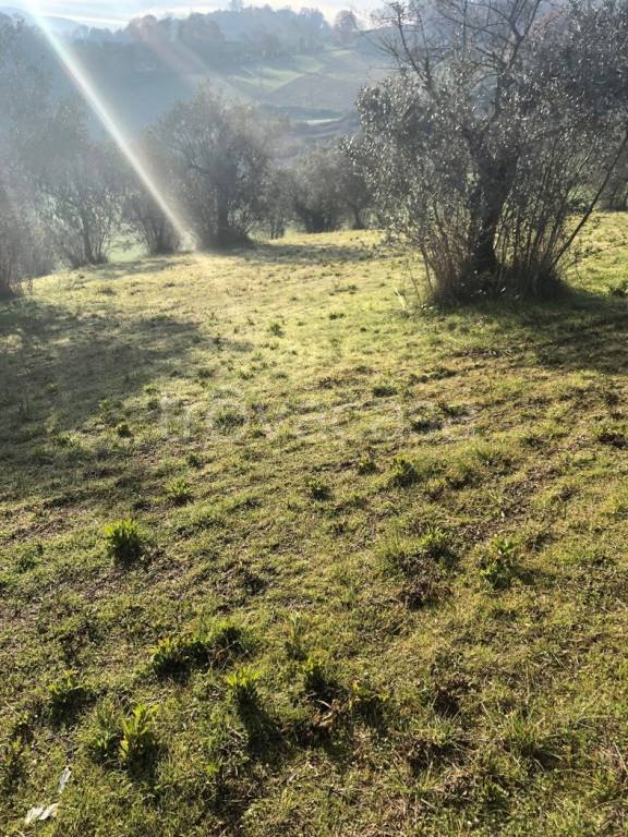 casa indipendente in vendita a Terni in zona Collescipoli