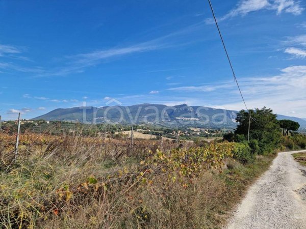 terreno agricolo in vendita a Terni in zona Gabelletta