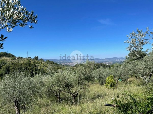 terreno agricolo in vendita a Terni