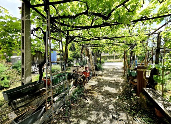 appartamento in vendita a Terni in zona Trevi