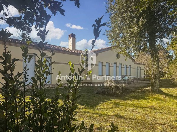 casa indipendente in vendita ad Avigliano Umbro