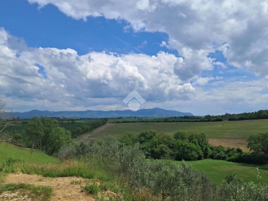 terreno agricolo in vendita ad Avigliano Umbro in zona Sismano