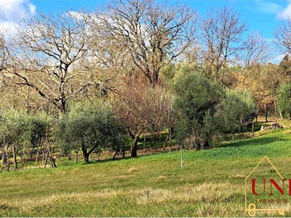 terreno agricolo in vendita ad Avigliano Umbro