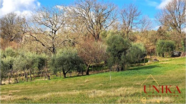 terreno agricolo in vendita ad Avigliano Umbro