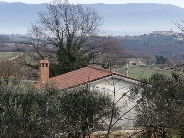 casa indipendente in vendita ad Avigliano Umbro