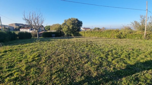 casa indipendente in vendita ad Avigliano Umbro