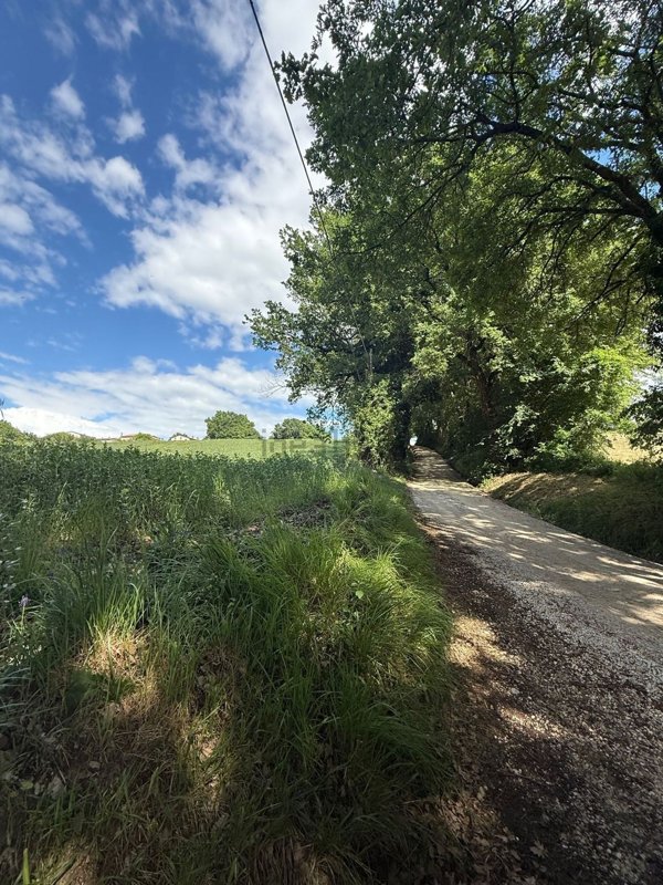 terreno agricolo in vendita ad Avigliano Umbro
