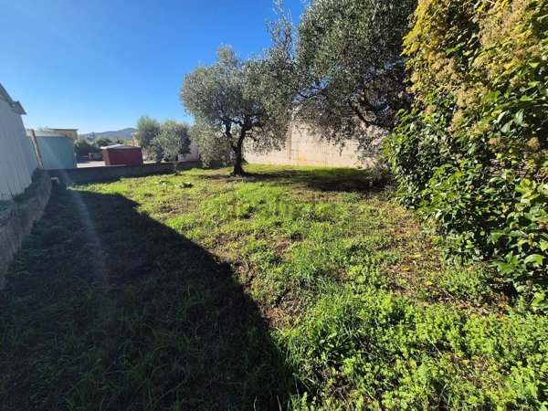 casa indipendente in vendita ad Avigliano Umbro