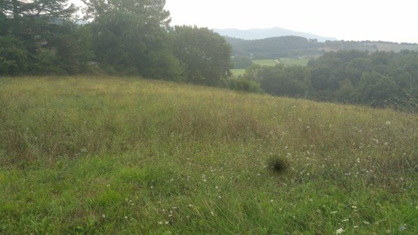 casa indipendente in vendita ad Avigliano Umbro in zona Sismano