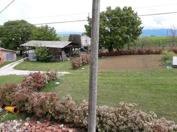 terreno agricolo in vendita ad Avigliano Umbro