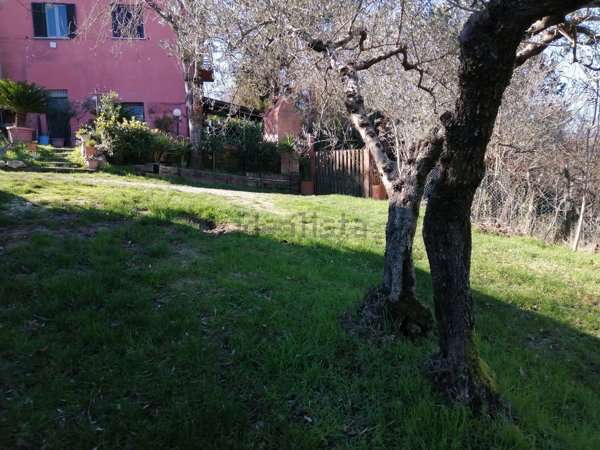 casa indipendente in vendita ad Avigliano Umbro in zona Dunarobba