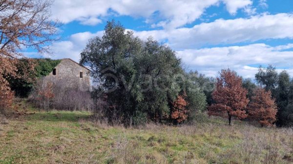 casa indipendente in vendita ad Avigliano Umbro
