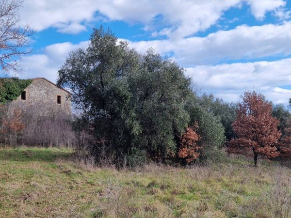 casa indipendente in vendita ad Avigliano Umbro